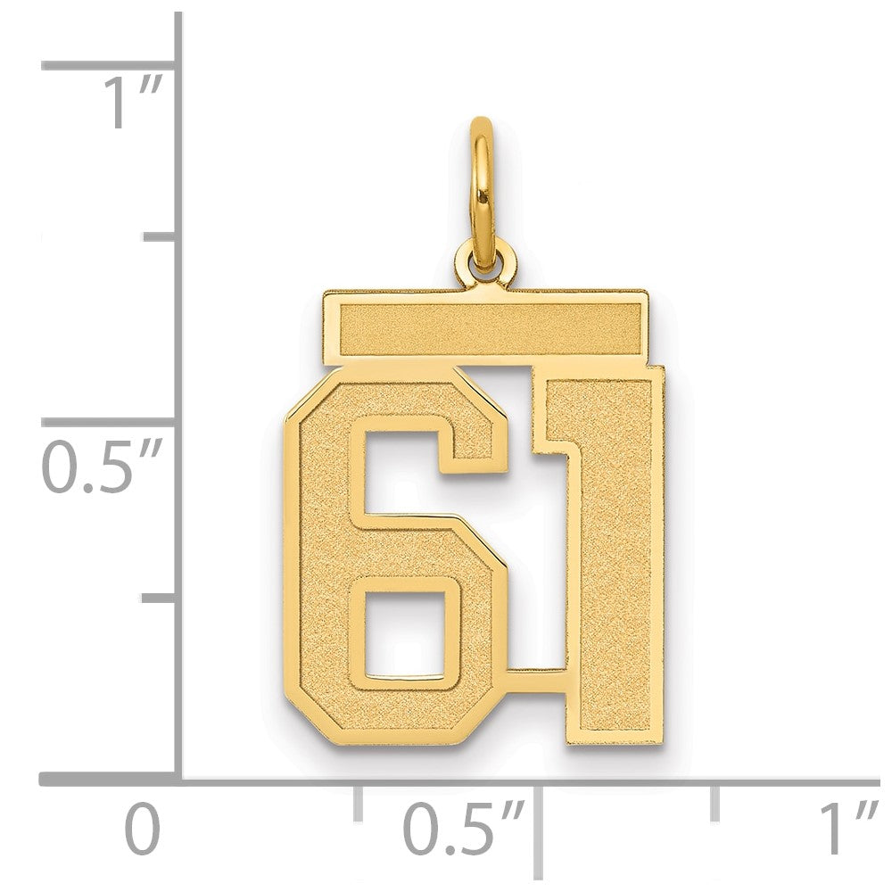 Charlie & Co Jewelry | 14k Medium Satin Number 61 Charm - Model LSM61