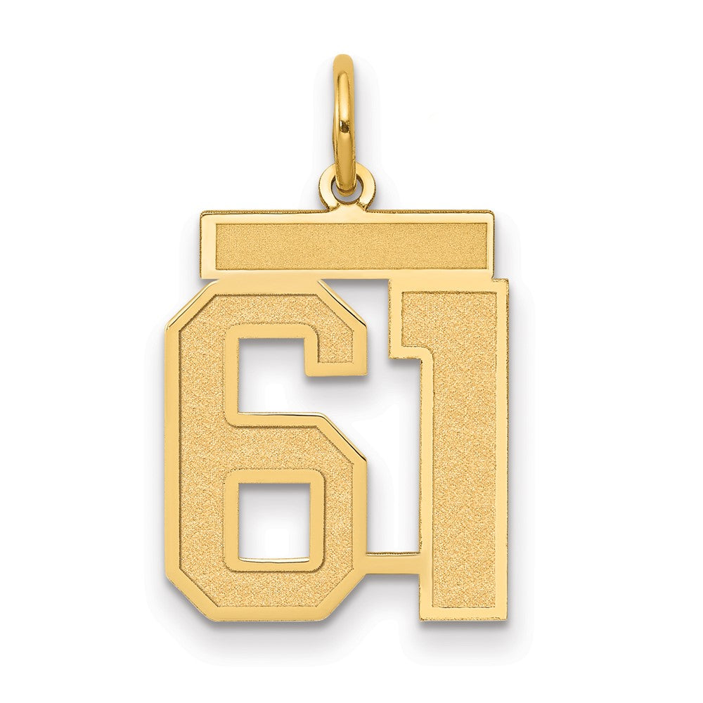 Charlie & Co Jewelry | 14k Medium Satin Number 61 Charm - Model LSM61