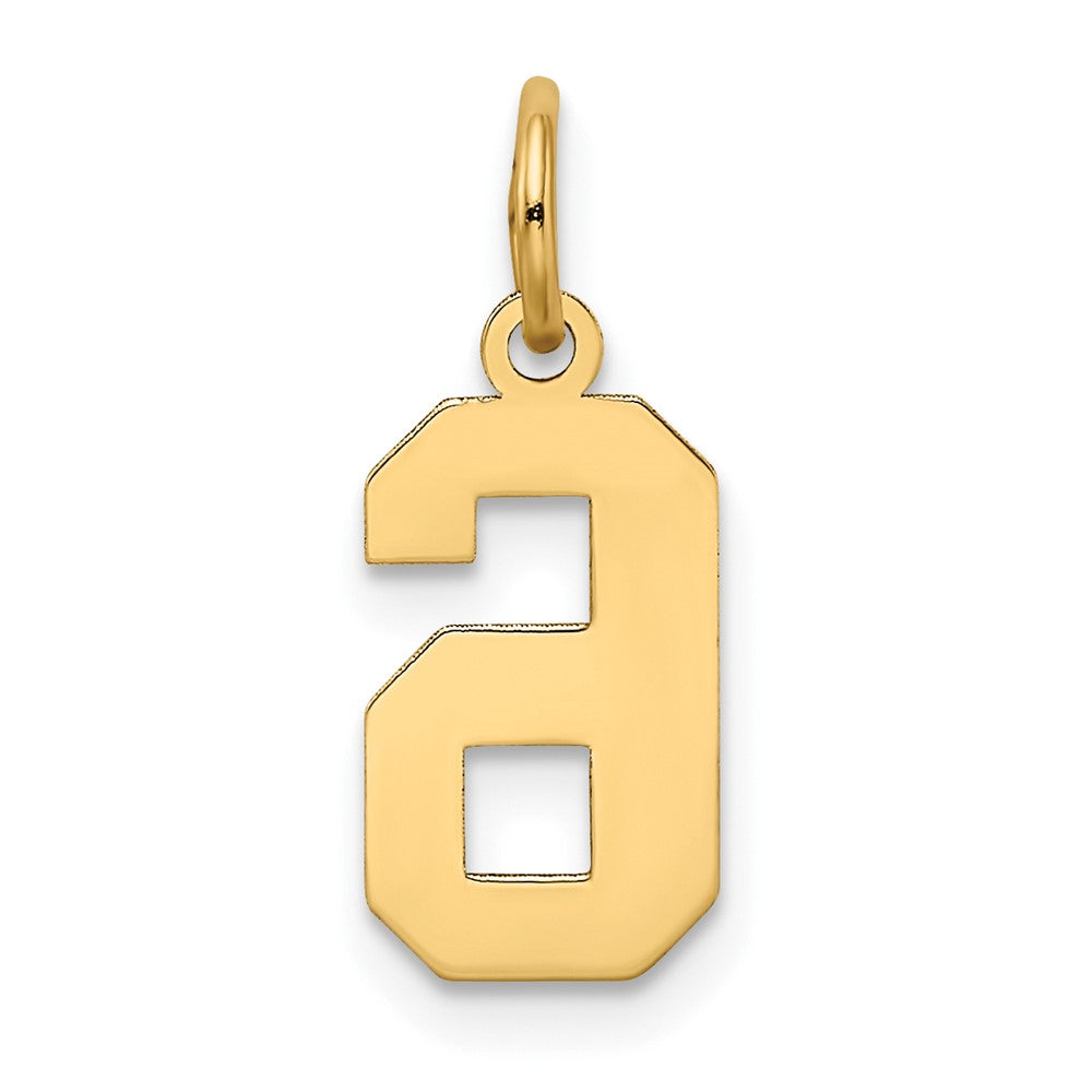 Charlie & Co Jewelry | 14k Small Satin Number 6 Charm - Model LSS06
