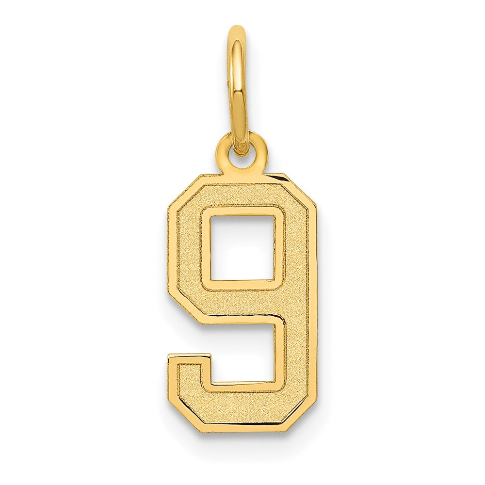 Charlie & Co Jewelry | 14k Small Satin Number 9 Charm - Model LSS09