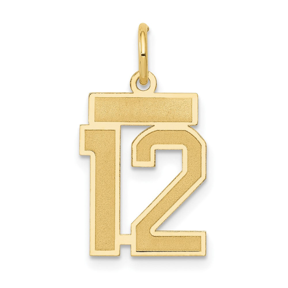 Charlie & Co Jewelry | 14k Small Satin Number 12 Charm - Model LSS12