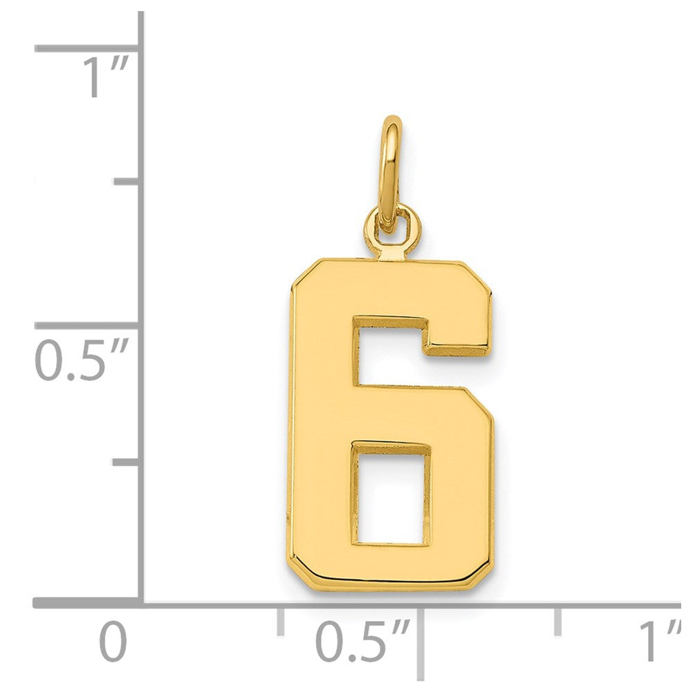Charlie & Co Jewelry | 14k Medium Polished Number 6 Charm - Model MP06