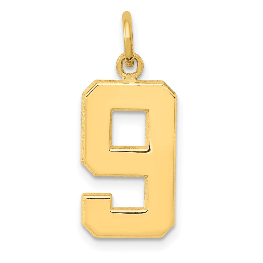 Charlie & Co Jewelry | 14k Medium Polished Number 9 Charm - Model MP09
