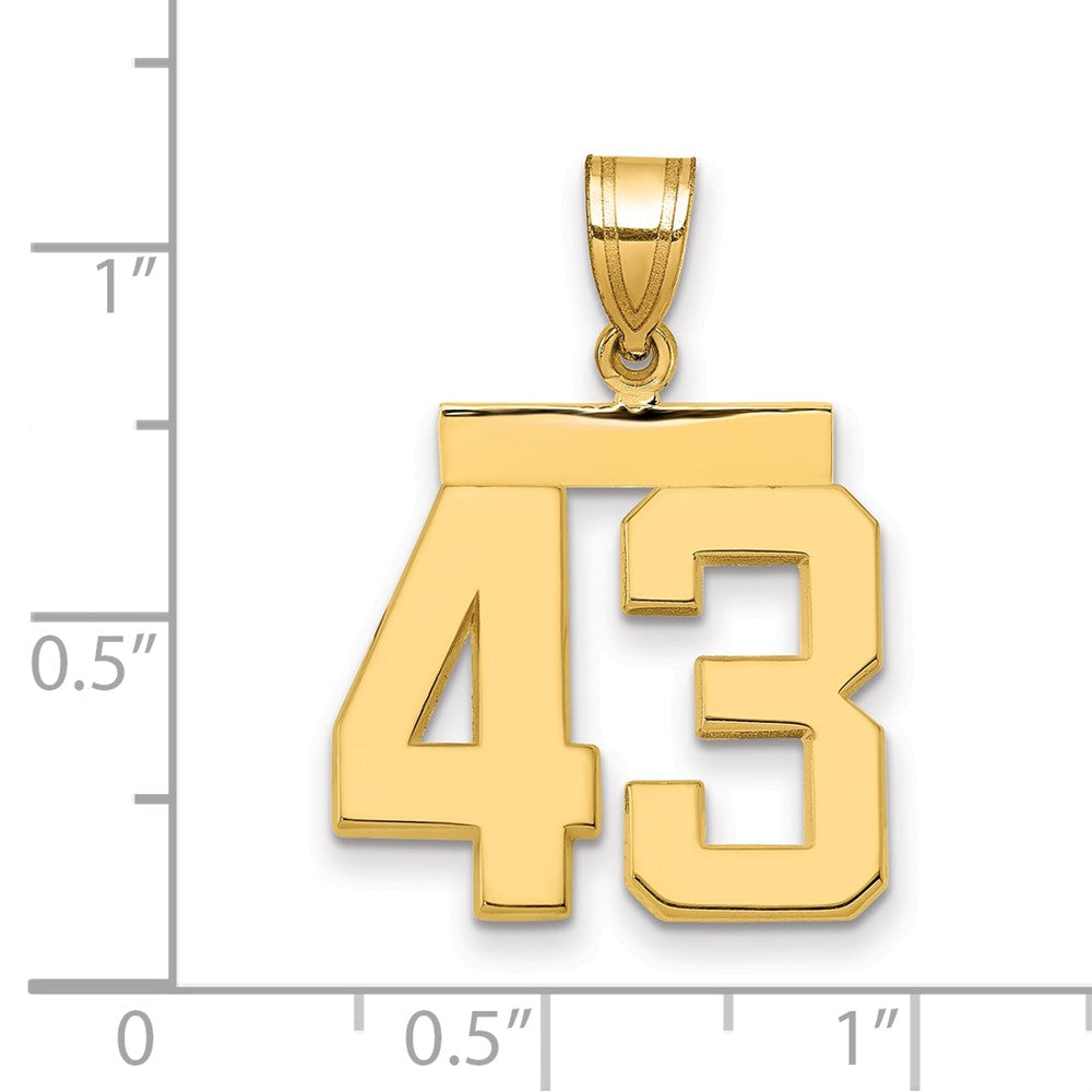 Charlie & Co Jewelry | 14k Medium Polished Number 43 Charm - Model MP43