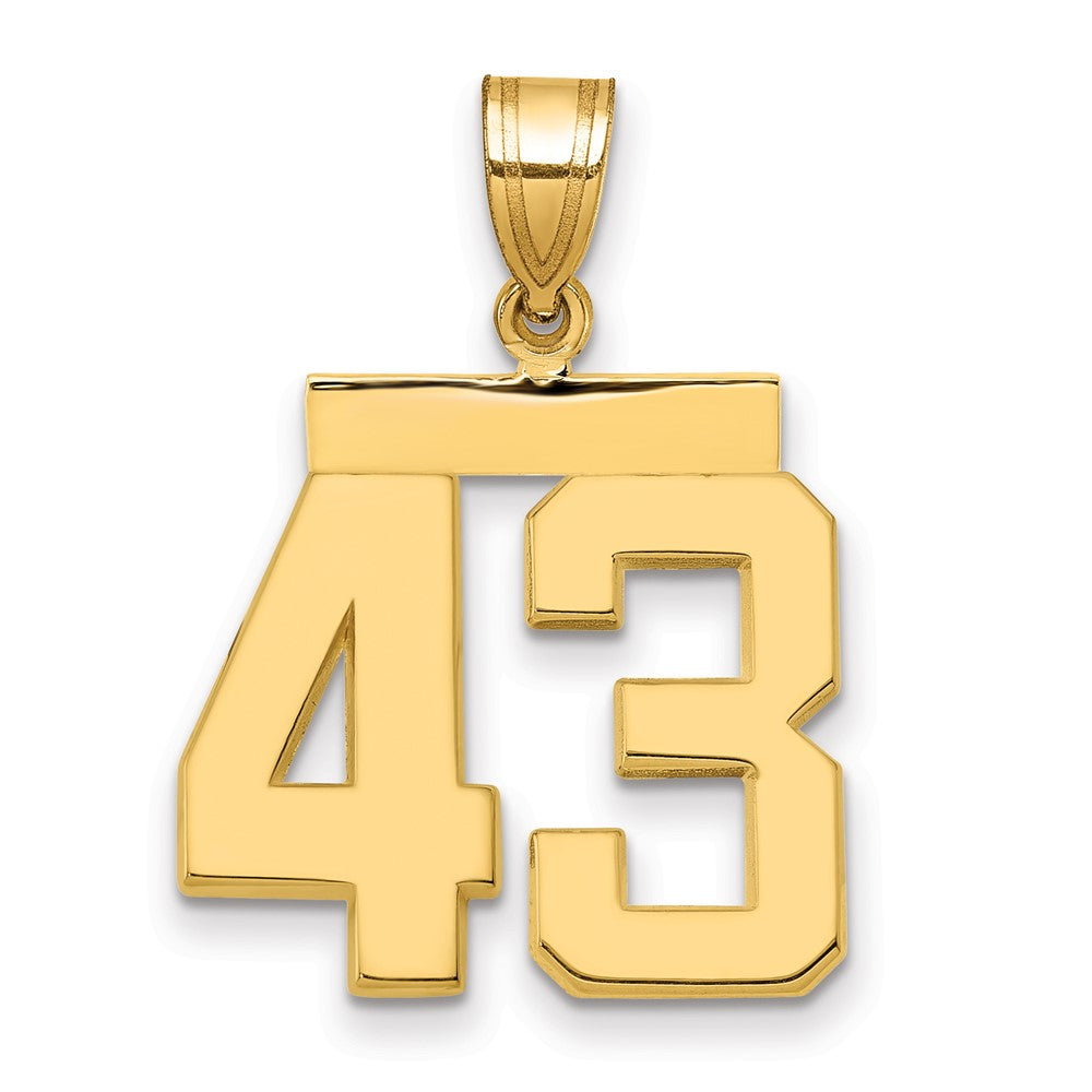 Charlie & Co Jewelry | 14k Medium Polished Number 43 Charm - Model MP43