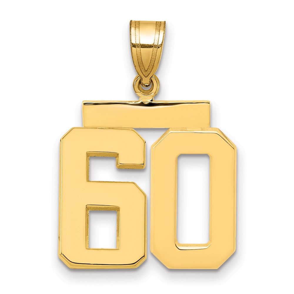 Charlie & Co Jewelry | 14k Medium Polished Number 60 Charm - Model MP60