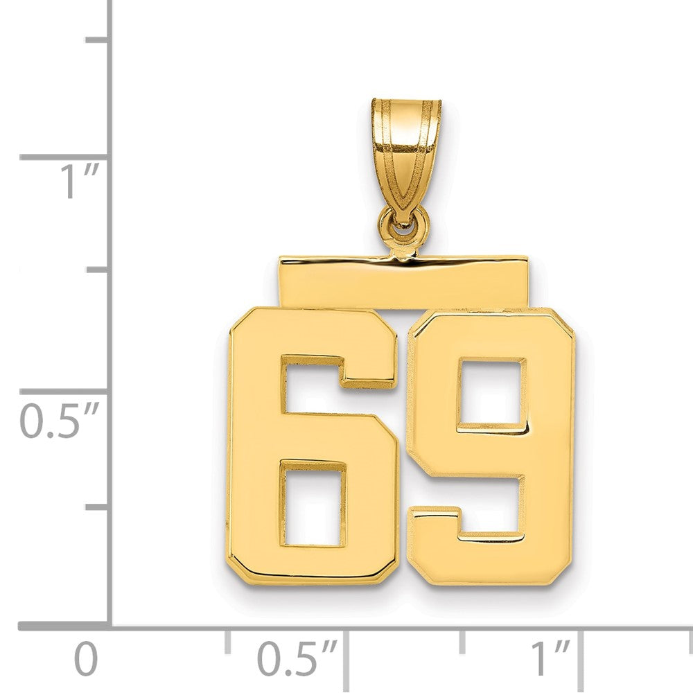 Charlie & Co Jewelry | 14k Medium Polished Number 69 Charm - Model MP69