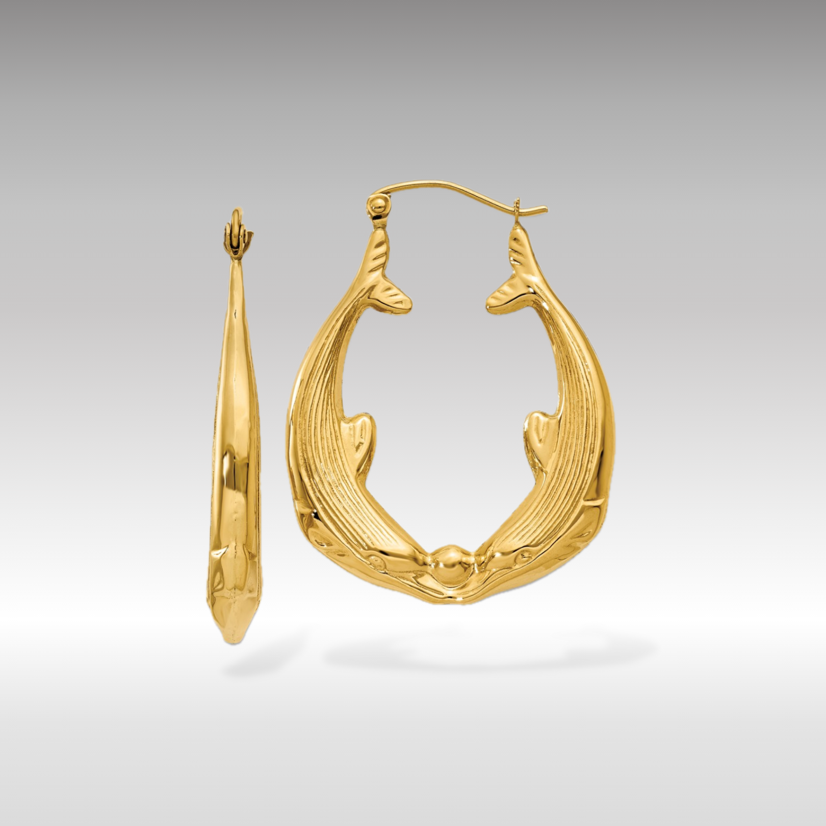 14K Gold Polished Dolphin-Themed Hoop Earrings - Charlie & Co. Jewelry