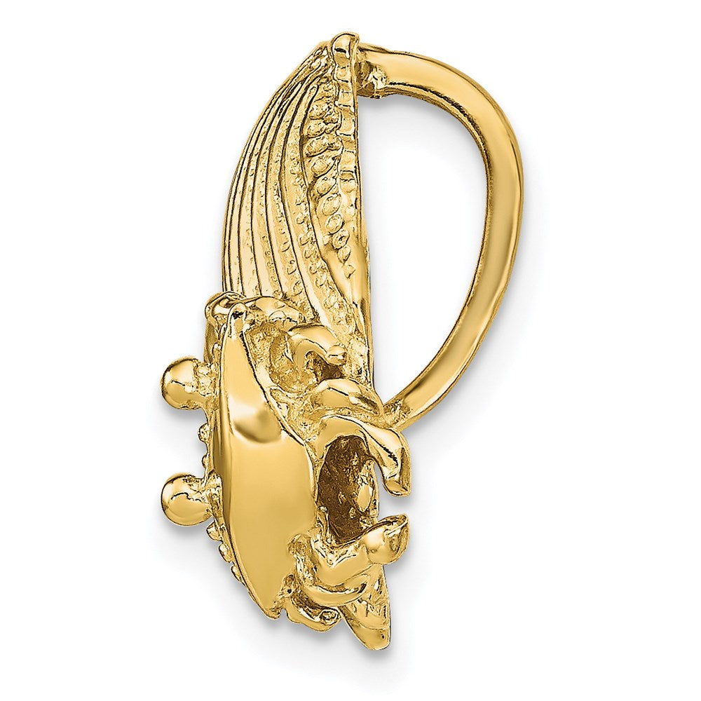 Charlie & Co Jewelry | 14k Scallop Shell With Crab Slide - Model SL615