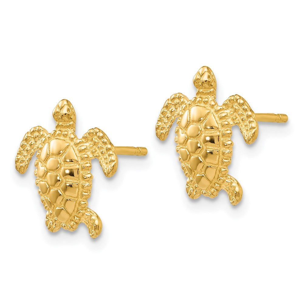 Gold Sea Turtle Post Earrings - Model TC604 - Charlie & Co. Jewelry