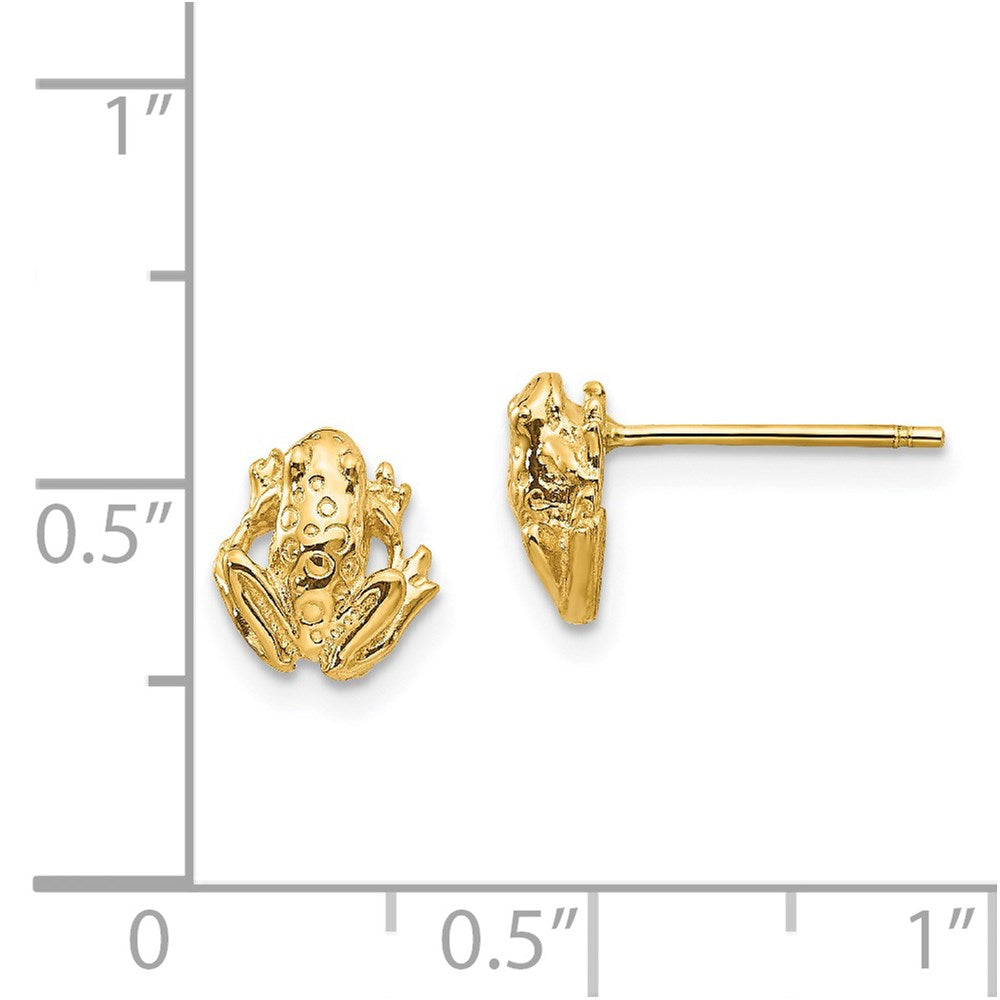 Gold Mini Frog Post Earrings - Model TC605 - Charlie & Co. Jewelry