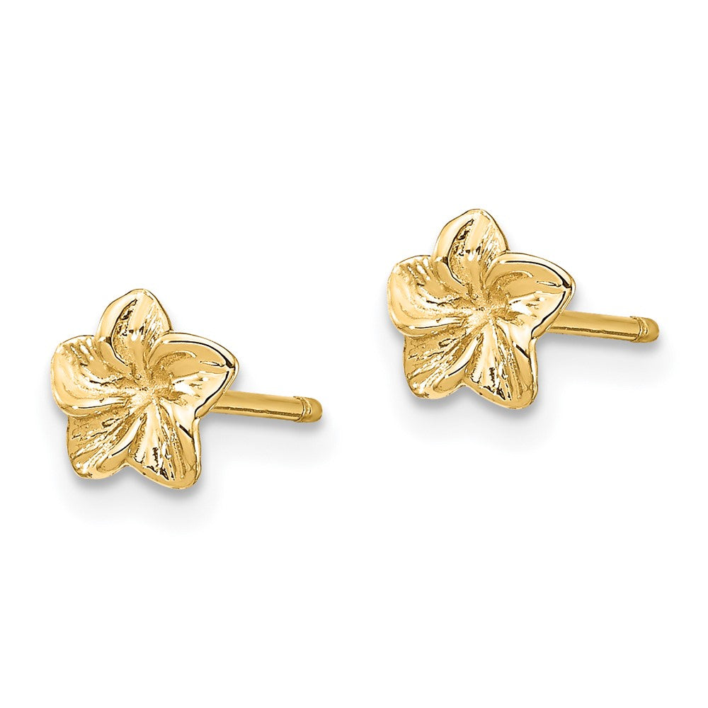 Gold Plumeria Flower Post Earrings - Model TC623 - Charlie & Co. Jewelry