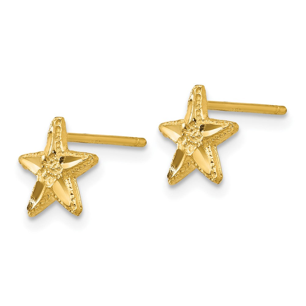 Gold Diamond-cut Starfish Earrings - Model TC749 - Charlie & Co. Jewelry