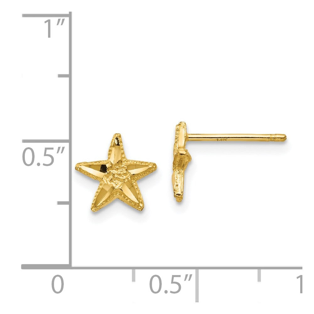 Gold Diamond-cut Starfish Earrings - Model TC749 - Charlie & Co. Jewelry