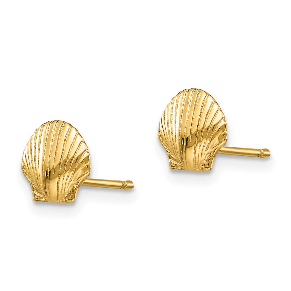 Mini Scallop Shell Post Earrings - Model TE632 | Charlie & Co. Jewelry
