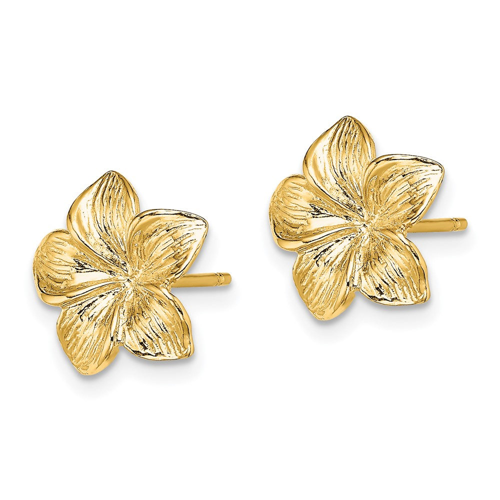 Gold Plumeria Flower Post Earrings - Model TE723 - Charlie & Co. Jewelry