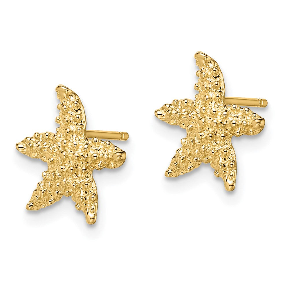 Gold Textured Starfish Post Earrings - Model TE783 - Charlie & Co. Jewelry