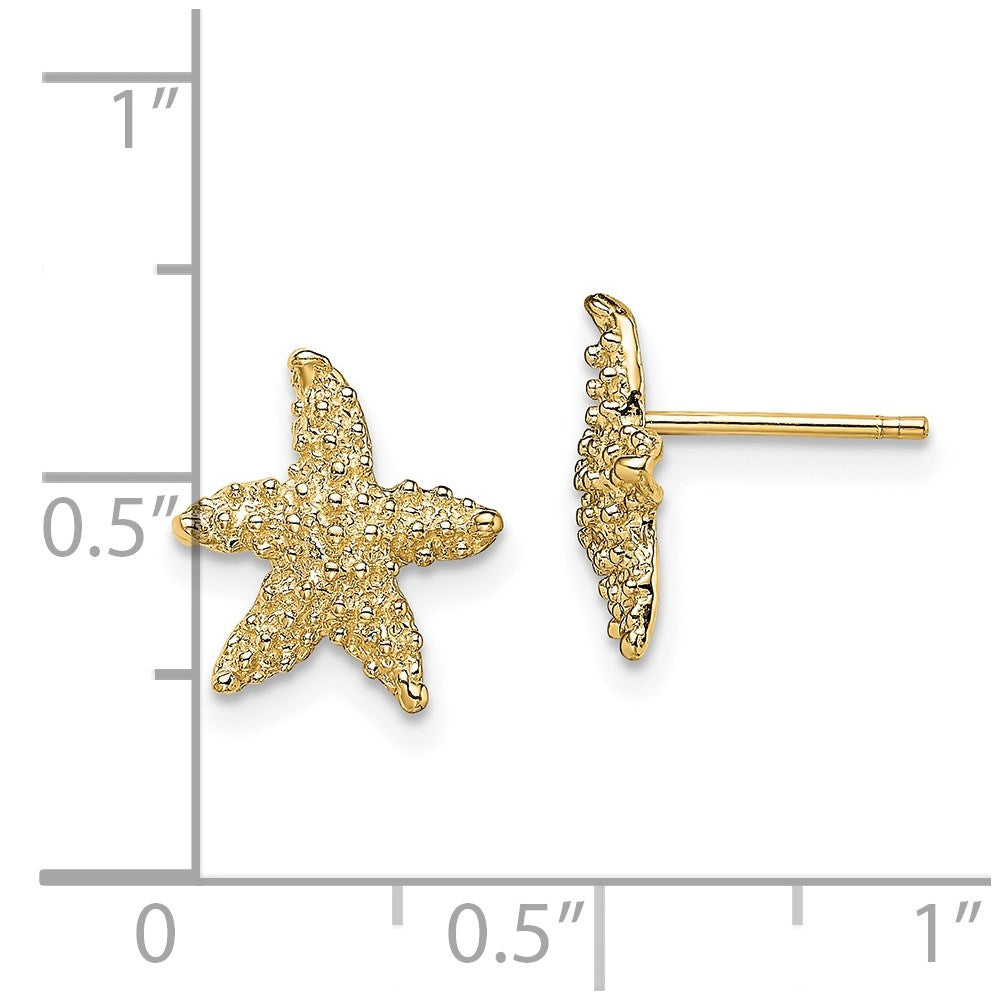 Gold Textured Starfish Post Earrings - Model TE783 - Charlie & Co. Jewelry