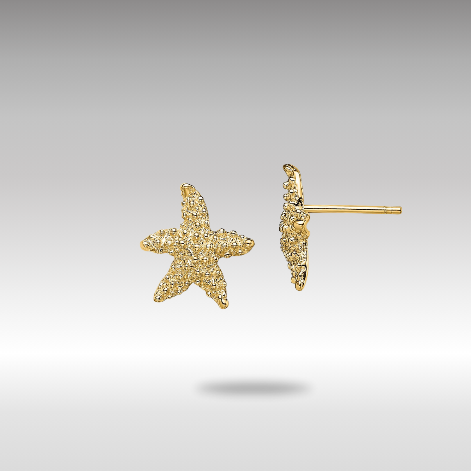 Gold Textured Starfish Post Earrings - Model TE783 - Charlie & Co. Jewelry