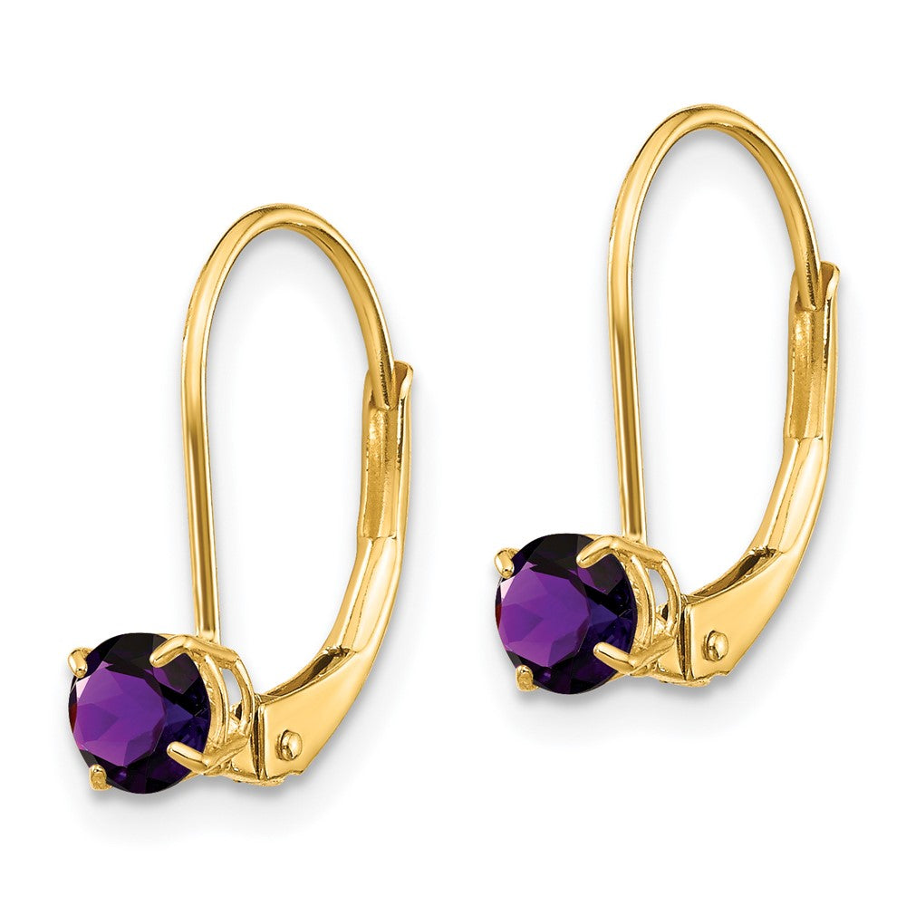 Gold Amethyst Leverback Earrings - February Model-XBE74 - Charlie & Co. Jewelry