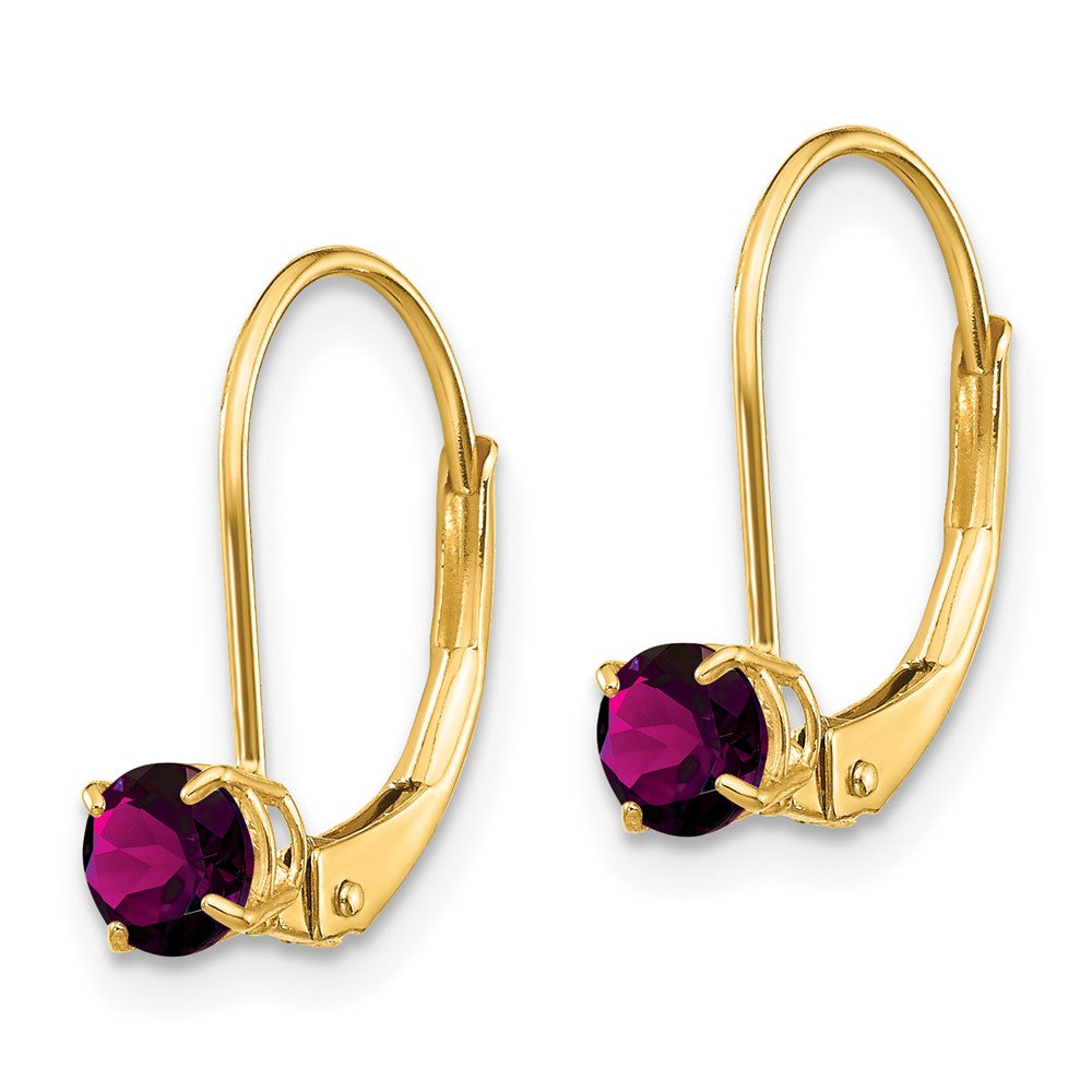 Gold 4mm Round June/Rhodolite Leverback Earrings Model-XBE78 - Charlie & Co. Jewelry