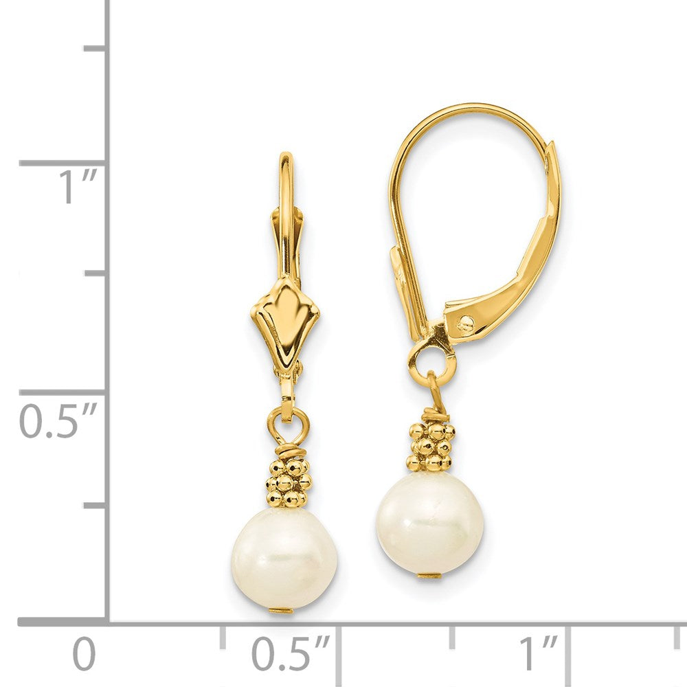 Gold 5-6mm White Semi-round Freshwater Cultured Pearl Leverback Earrings - Model XF208 - Charlie & Co. Jewelry