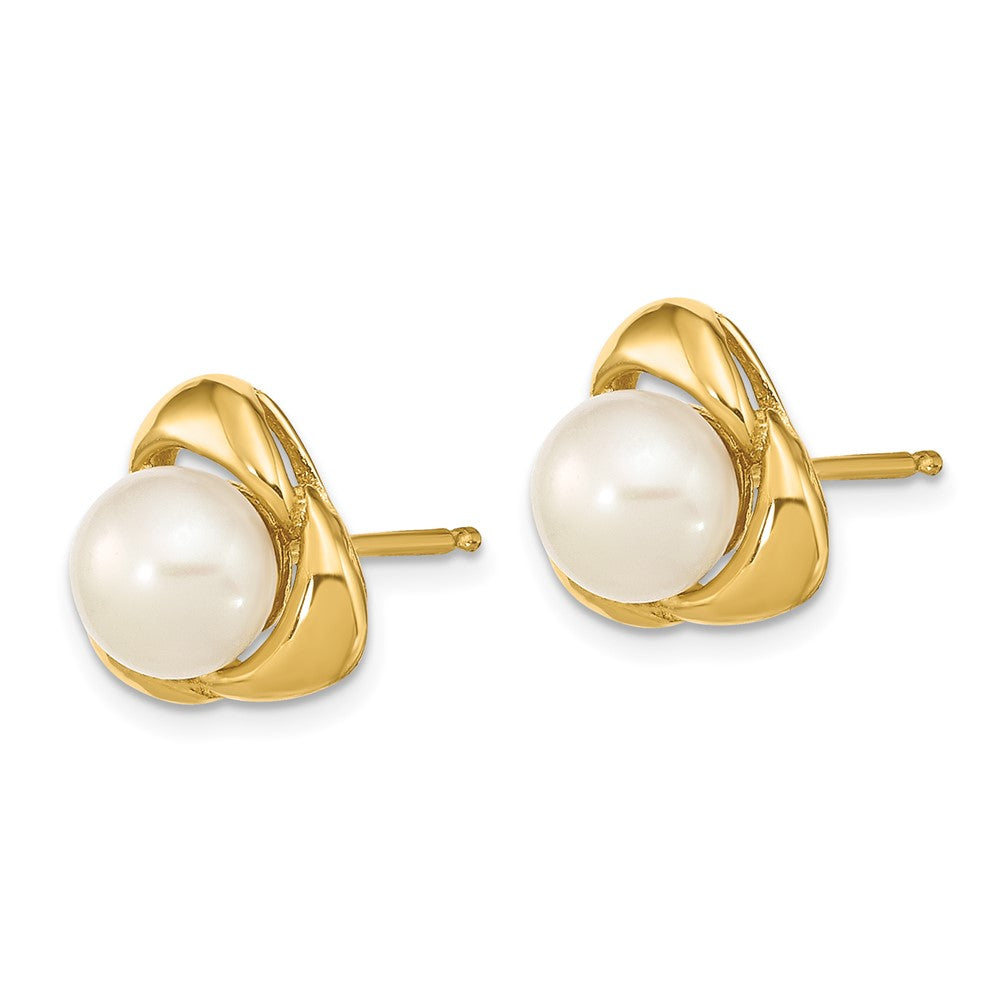 Gold 5-6mm White Button Freshwater Cultured Pearl Post Earrings - Model XF608E - Charlie & Co. Jewelry