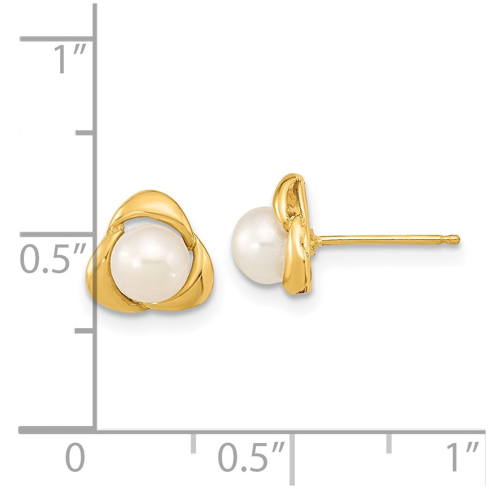 Gold 5-6mm White Button Freshwater Cultured Pearl Post Earrings - Model XF608E - Charlie & Co. Jewelry