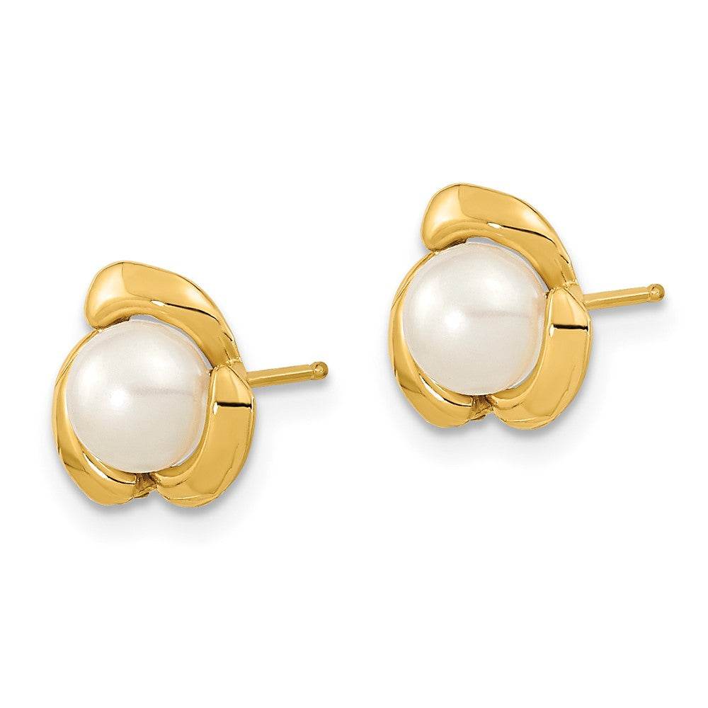 Gold 5-6mm White Button Freshwater Cultured Pearl Post Earrings - Model XF609E - Charlie & Co. Jewelry