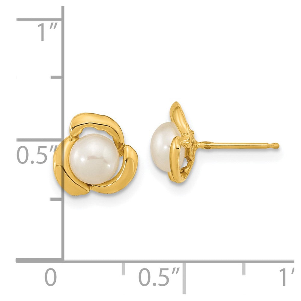 Gold 5-6mm White Button Freshwater Cultured Pearl Post Earrings - Model XF609E - Charlie & Co. Jewelry