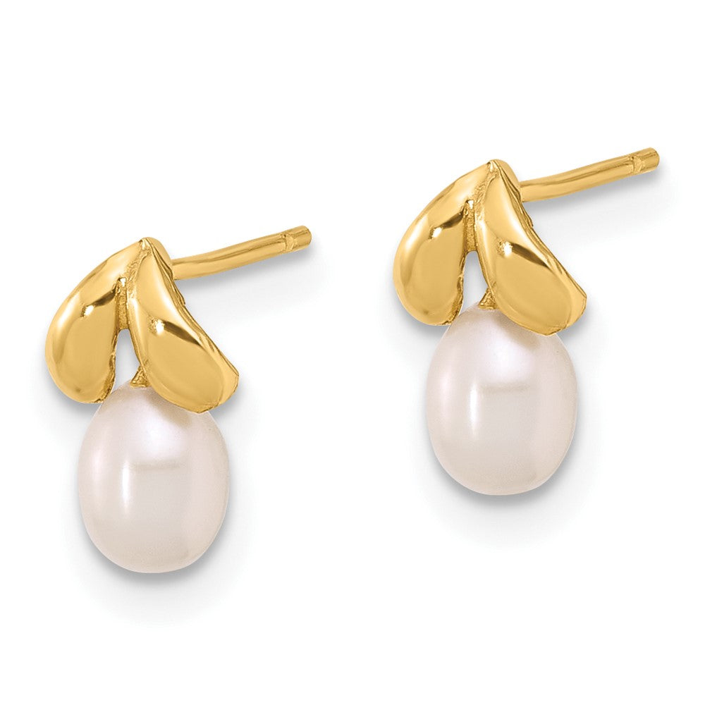 Gold 4-5mm Teardrop White Freshwater Cultured Pearl Post Earrings - Model XF854E - Charlie & Co. Jewelry