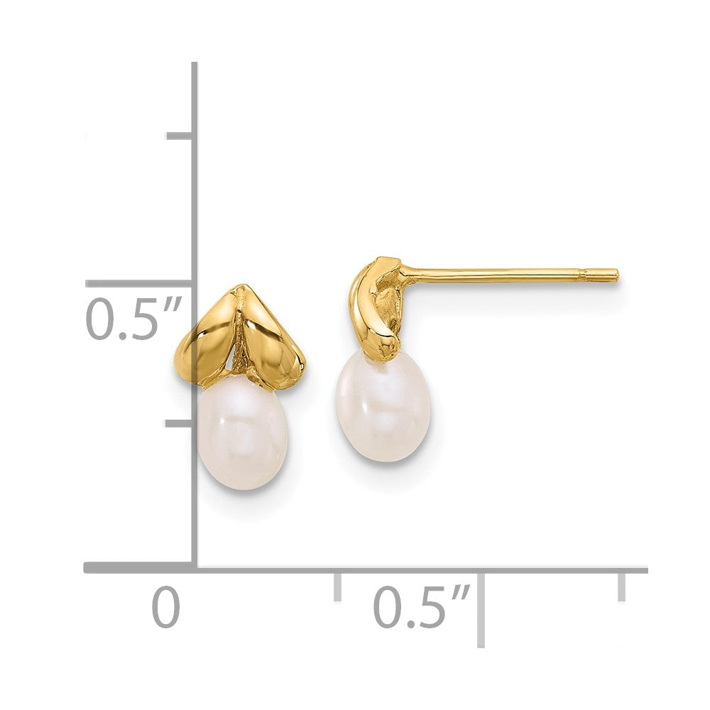 Gold 4-5mm Teardrop White Freshwater Cultured Pearl Post Earrings - Model XF854E - Charlie & Co. Jewelry