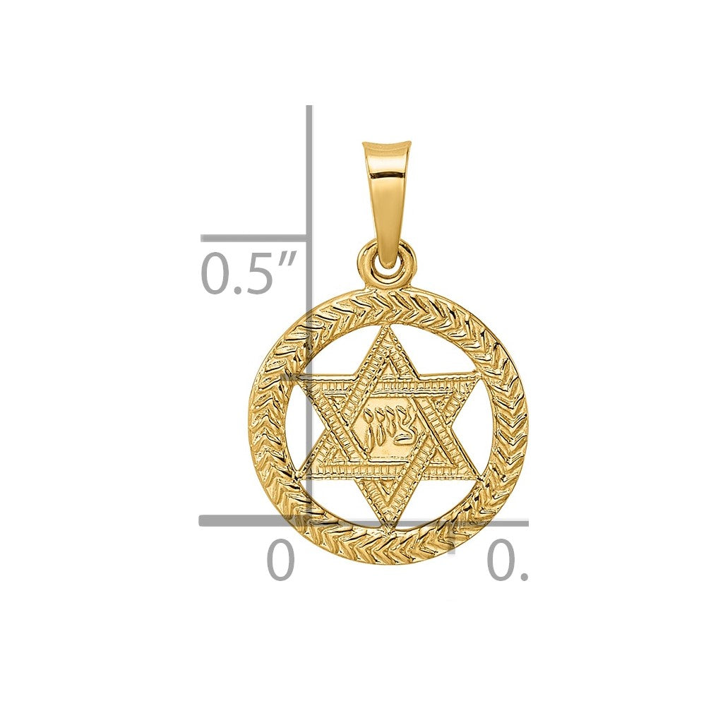 Charlie & Co Jewelry | 14k Polished And Textured Solid Star Of David In Frame Pendant - Model XR1967