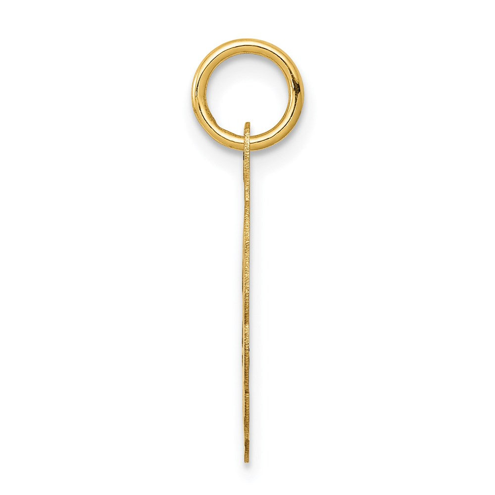 Charlie & Co Jewelry | 14k Solid Star Of David Disc Charm - Model XR416
