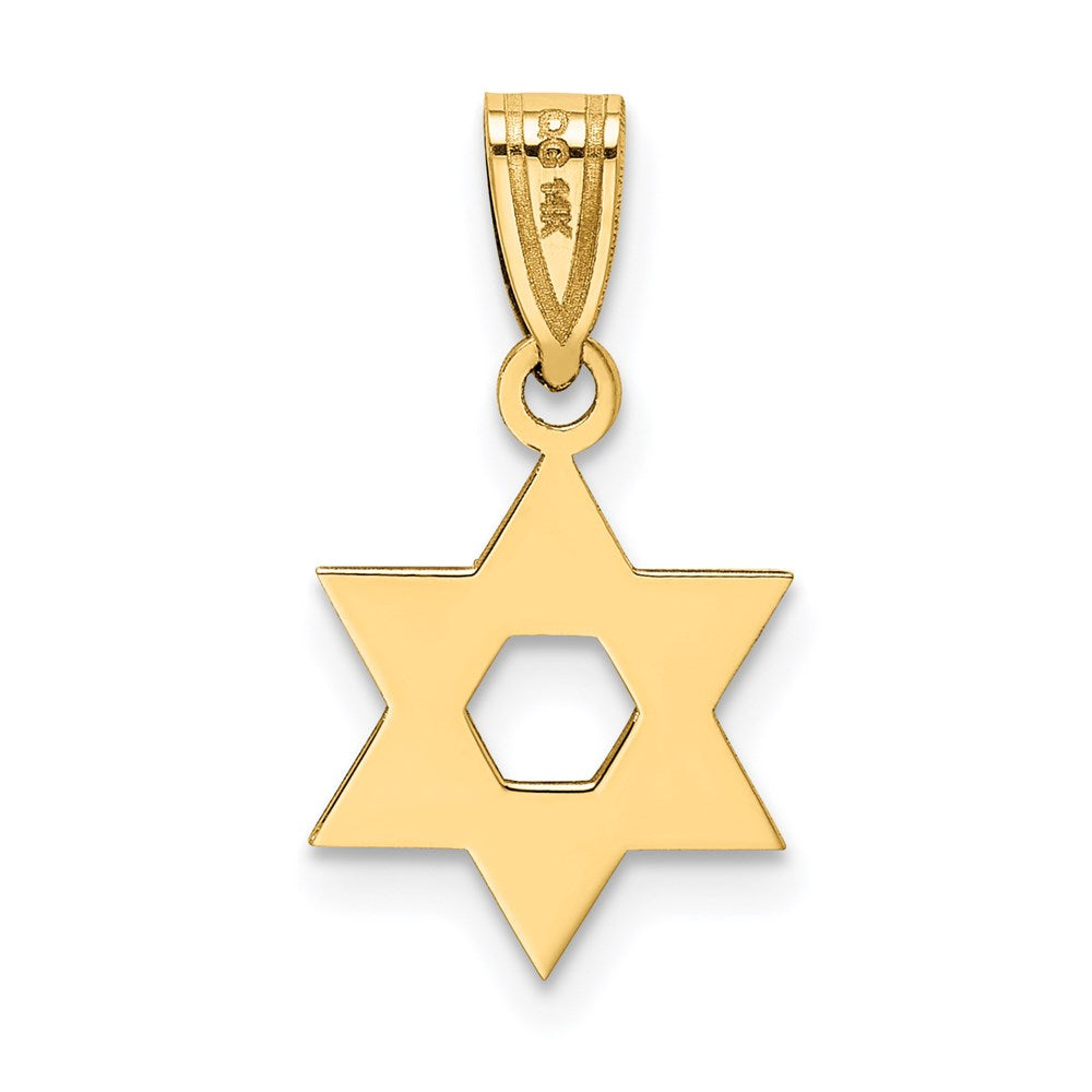 Charlie & Co Jewelry | 14k Star Of David Pendant - Model XR418
