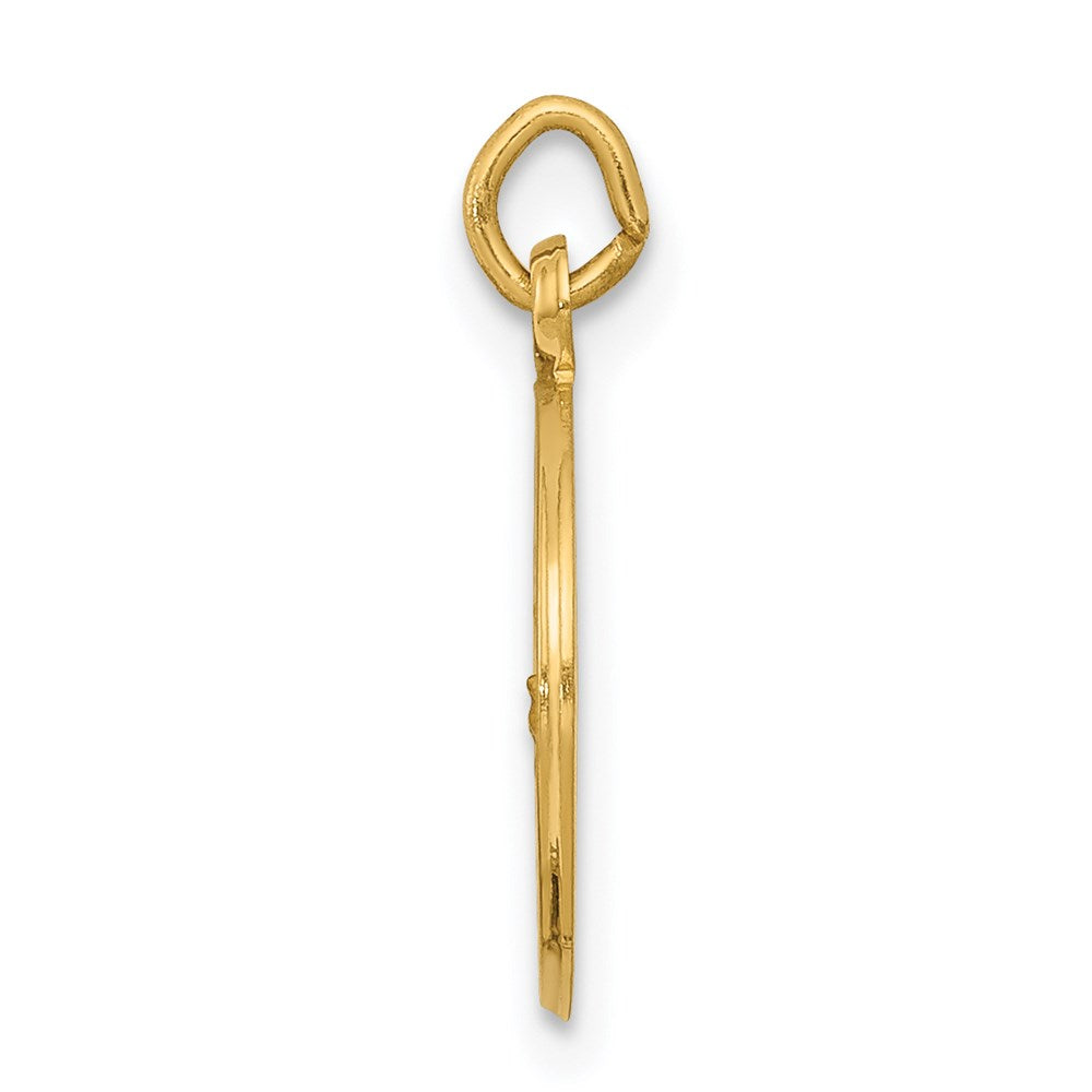 Charlie & Co Jewelry | 14k Our Lady Of Lourdes Medal Charm - Model XR648