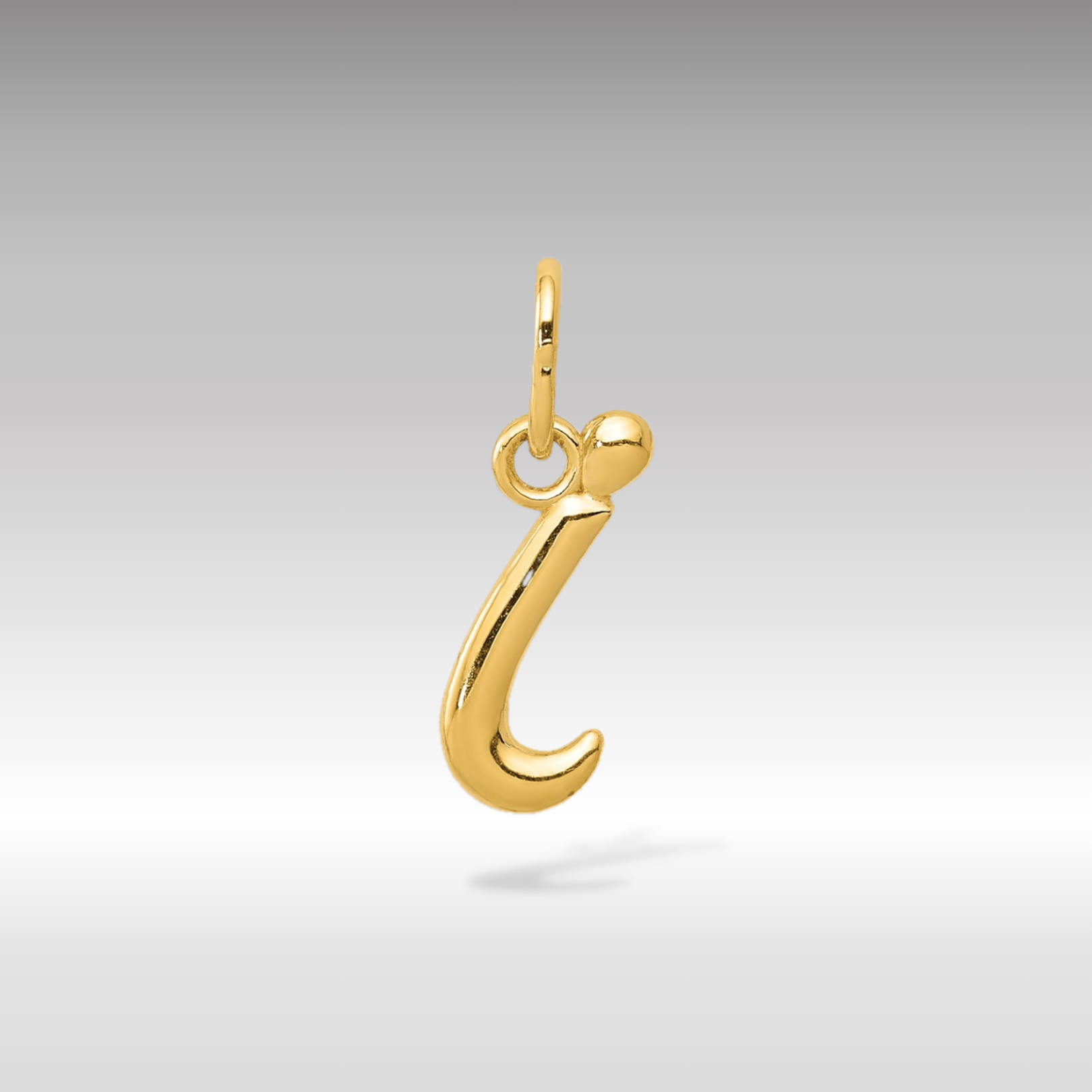 14K Gold Lowercase Initial "i" Pendant - Charlie & Co. Jewelry