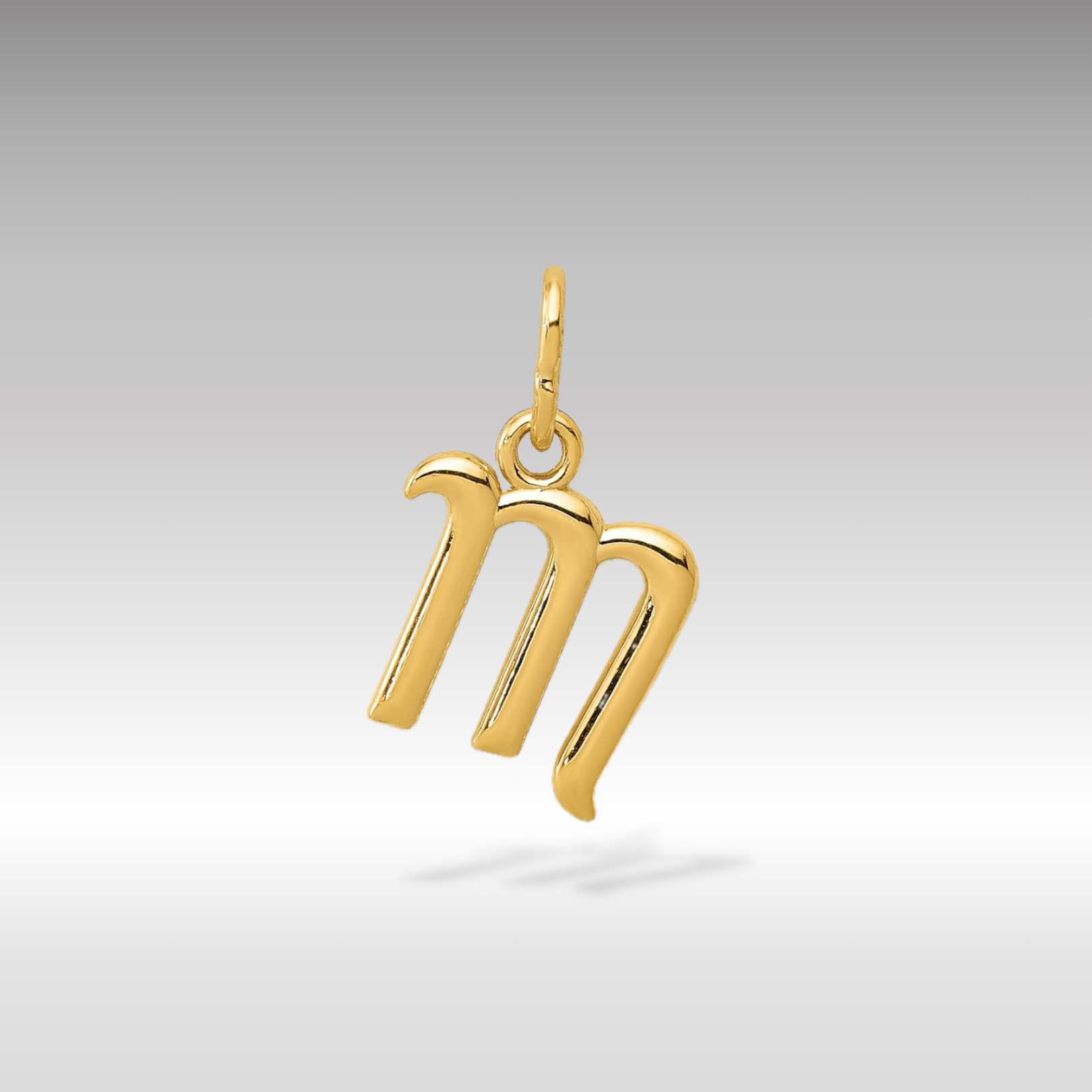 14K Gold Lowercase Initial "m" Pendant - Charlie & Co. Jewelry