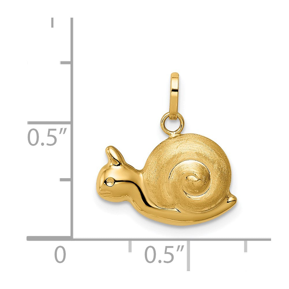14K Gold Hollow Satin and Polished Snail Pendant - Charlie & Co. Jewelry