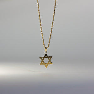 Gold Star of David Pendant Model-1506 - Charlie & Co. Jewelry