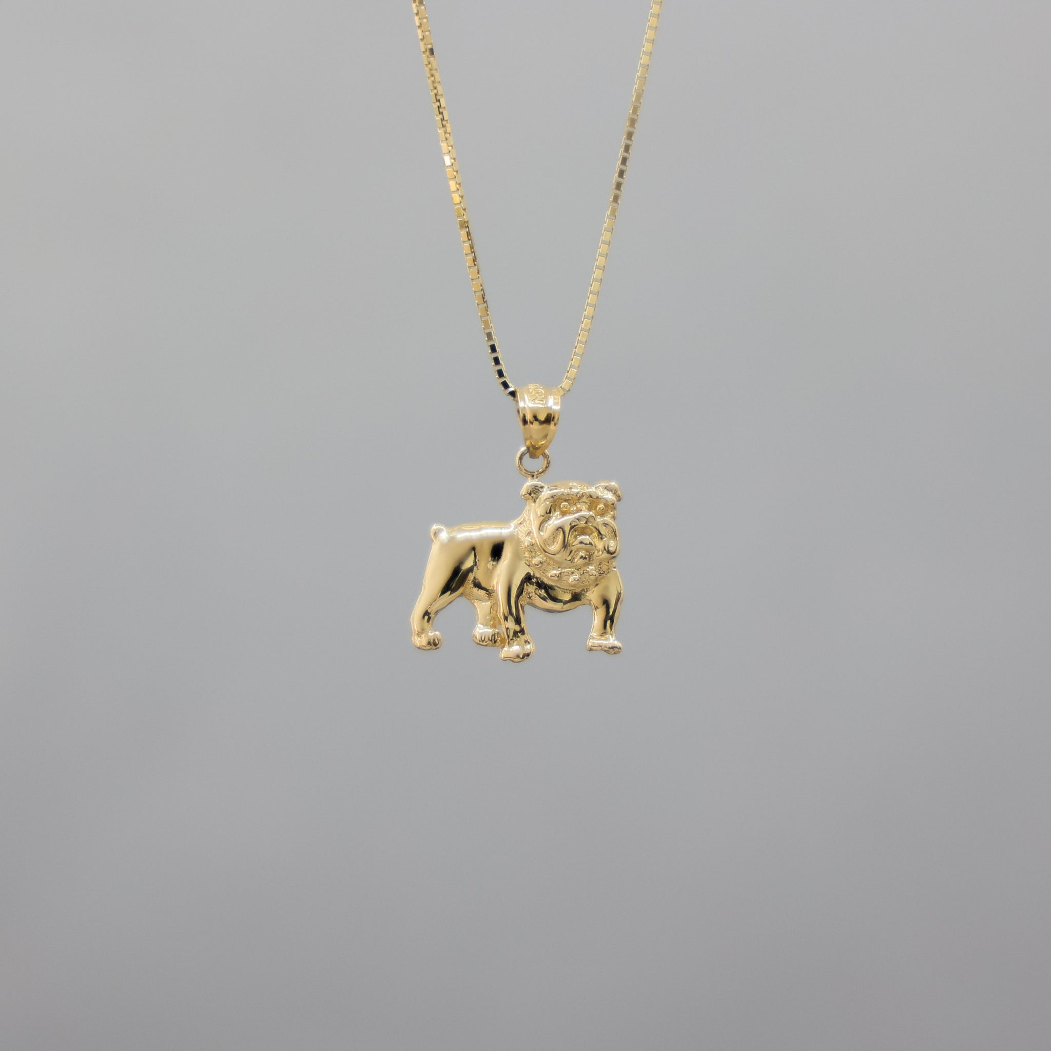 Curious French Bulldog Love Silver Pendant and Necklace