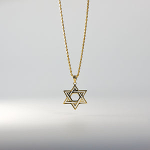 Gold Star of David Pendant Model-2239 - Charlie & Co. Jewelry
