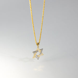 Gold Star of David Pendant Model-2239 - Charlie & Co. Jewelry
