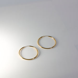Gold Plain Hoop Earrings - 2 MM Thickness - Charlie & Co. Jewelry
