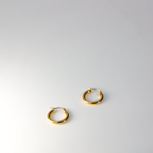 Beauty Standards Gold Hoop Earrings - 3 MM Thickness - Charlie & Co. Jewelry